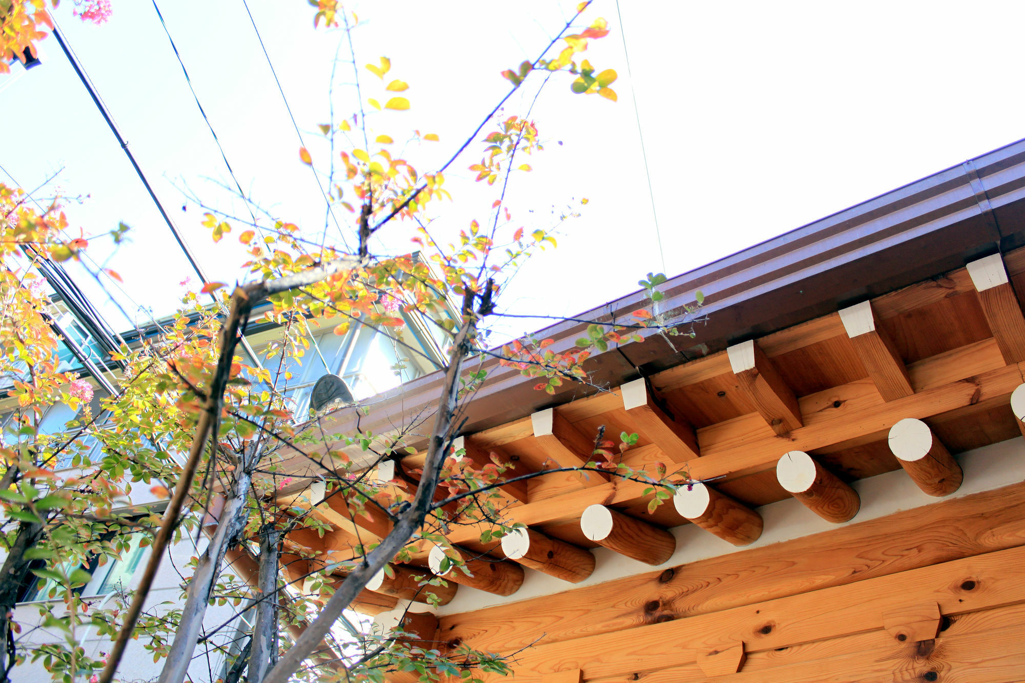 Hanok 24 Guesthouse Gyeongbokgung Seoel Buitenkant foto